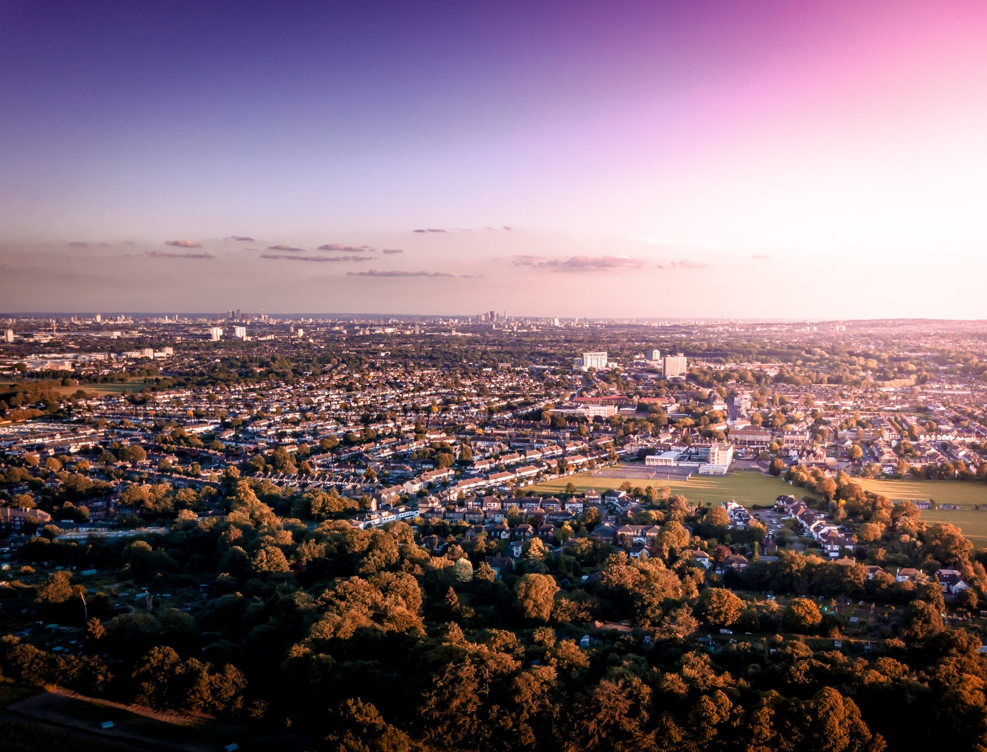 Tree-filled suburbs seen from above at dawn, with a city skyline on the horizon under a pink and purple sky